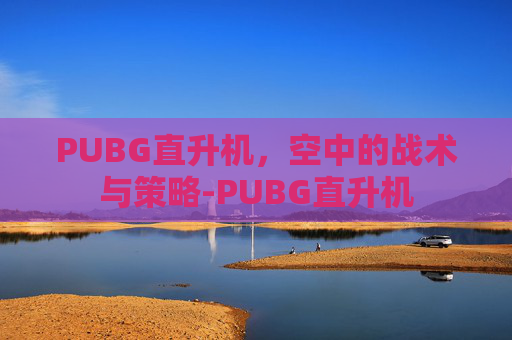 PUBG直升机，空中的战术与策略-PUBG直升机