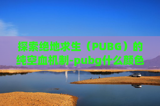 探索绝地求生（PUBG）的纯空血机制-pubg什么颜色血最好