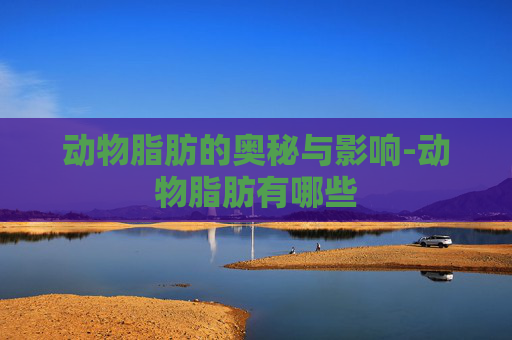动物脂肪的奥秘与影响-动物脂肪有哪些