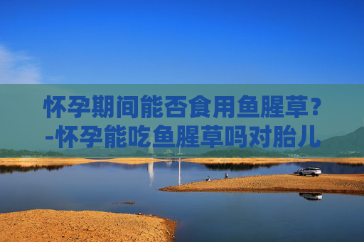 怀孕期间能否食用鱼腥草？-怀孕能吃鱼腥草吗对胎儿有影响吗