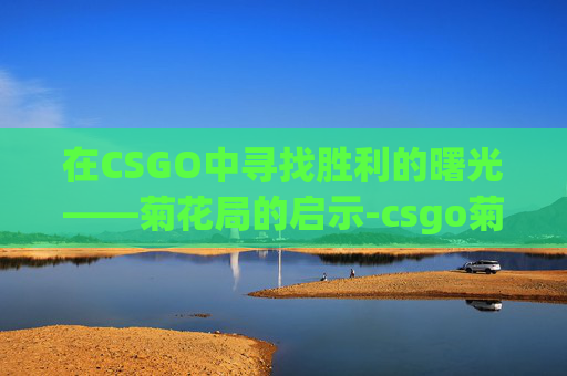 在CSGO中寻找胜利的曙光——菊花局的启示-csgo菊花算什么水平