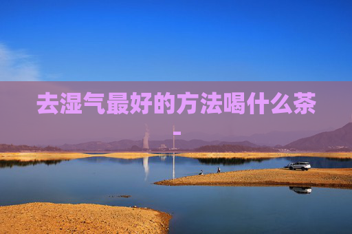 去湿气最好的方法喝什么茶-