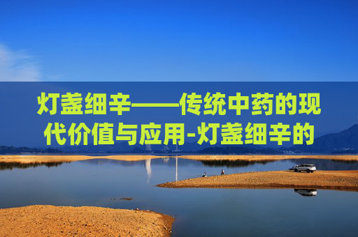灯盏细辛——传统中药的现代价值与应用-灯盏细辛的功效与作用