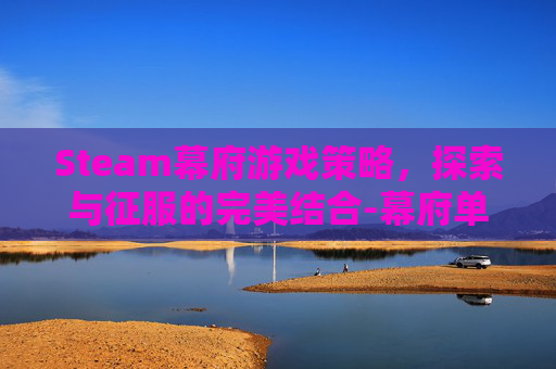 Steam幕府游戏策略，探索与征服的完美结合-幕府单机游戏
