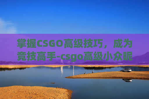 掌握CSGO高级技巧，成为竞技高手-csgo高级小众昵称