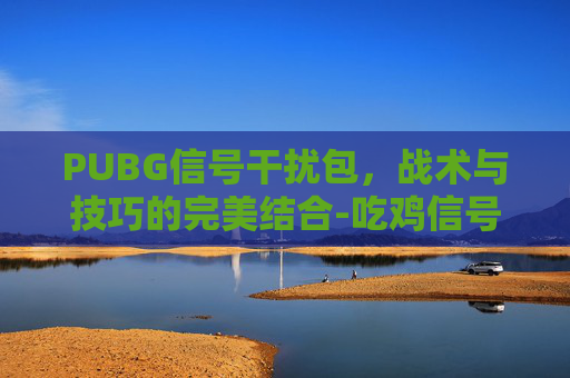 PUBG信号干扰包，战术与技巧的完美结合-吃鸡信号干扰包