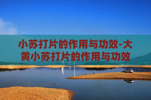 小苏打片的作用与功效-大黄小苏打片的作用与功效