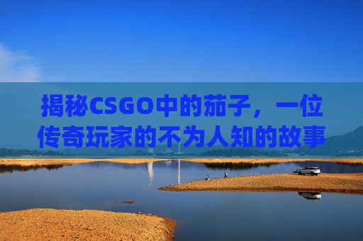 揭秘CSGO中的茄子，一位传奇玩家的不为人知的故事-csgo茄子在哪个平台直播