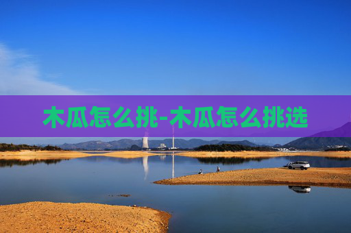木瓜怎么挑-木瓜怎么挑选