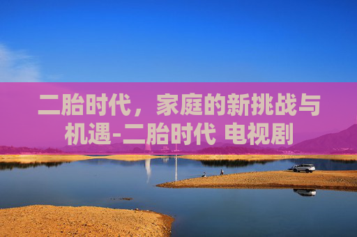 二胎时代，家庭的新挑战与机遇-二胎时代 电视剧