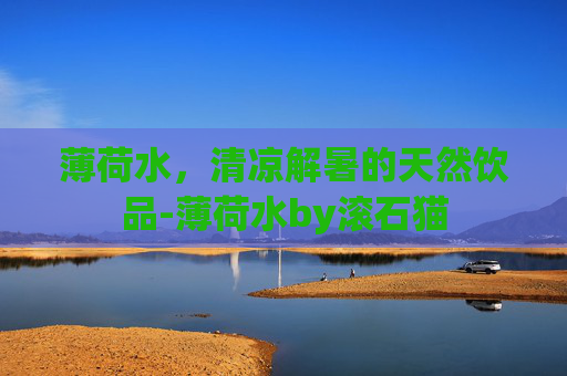 薄荷水，清凉解暑的天然饮品-薄荷水by滚石猫