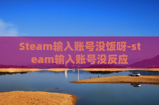 Steam输入账号没饭呀-steam输入账号没反应