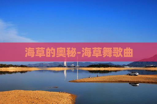海草的奥秘-海草舞歌曲