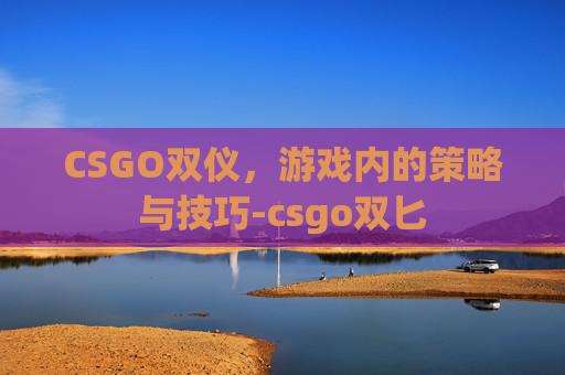 CSGO双仪，游戏内的策略与技巧-csgo双匕