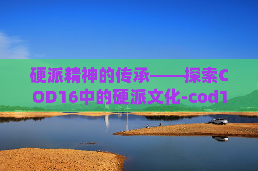 硬派精神的传承——探索COD16中的硬派文化-cod16硬派模式什么意思