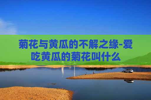 菊花与黄瓜的不解之缘-爱吃黄瓜的菊花叫什么