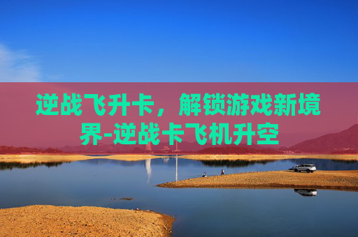 逆战飞升卡，解锁游戏新境界-逆战卡飞机升空