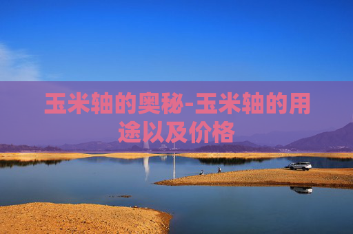 玉米轴的奥秘-玉米轴的用途以及价格