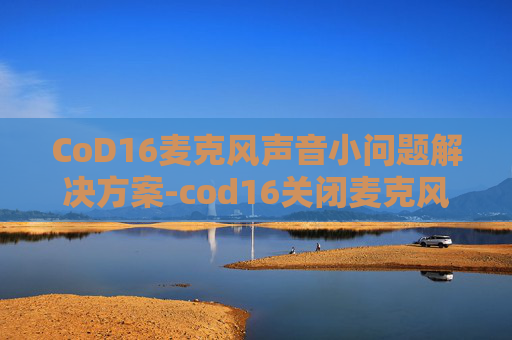 CoD16麦克风声音小问题解决方案-cod16关闭麦克风