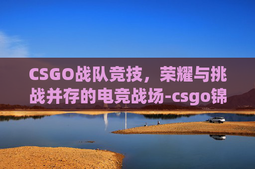 CSGO战队竞技，荣耀与挑战并存的电竞战场-csgo锦标赛战队