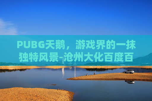PUBG天鹅，游戏界的一抹独特风景-沧州大化百度百科