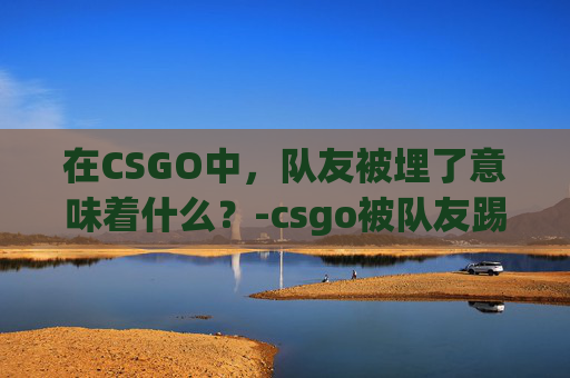 在CSGO中，队友被埋了意味着什么？-csgo被队友踢掉会扣分吗