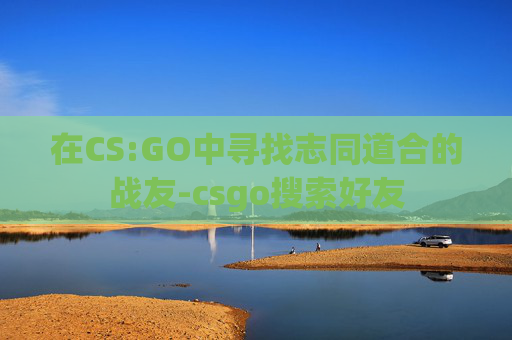 在CS:GO中寻找志同道合的战友-csgo搜索好友