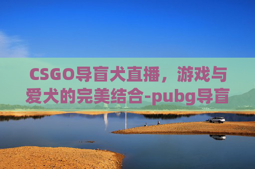 CSGO导盲犬直播，游戏与爱犬的完美结合-pubg导盲犬