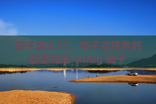 茄子加入17，电子竞技界的新星崛起-pubg 茄子