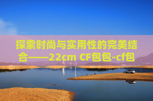 探索时尚与实用性的完美结合——22cm CF包包-cf包包图片