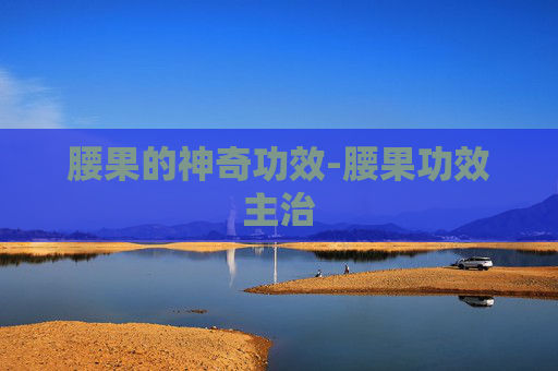 腰果的神奇功效-腰果功效主治