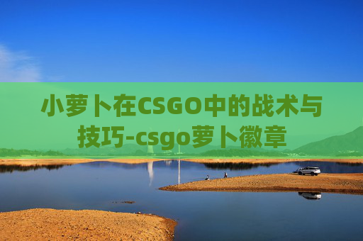 小萝卜在CSGO中的战术与技巧-csgo萝卜徽章