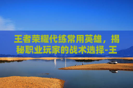 王者荣耀代练常用英雄，揭秘职业玩家的战术选择-王者荣耀代练常用英雄有哪些