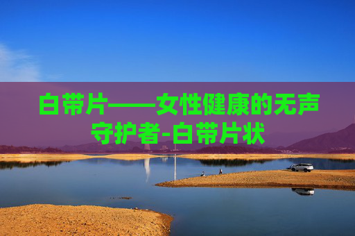 白带片——女性健康的无声守护者-白带片状
