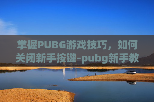掌握PUBG游戏技巧，如何关闭新手按键-pubg新手教程怎么关闭