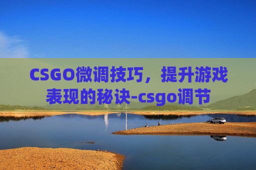 CSGO微调技巧，提升游戏表现的秘诀-csgo调节