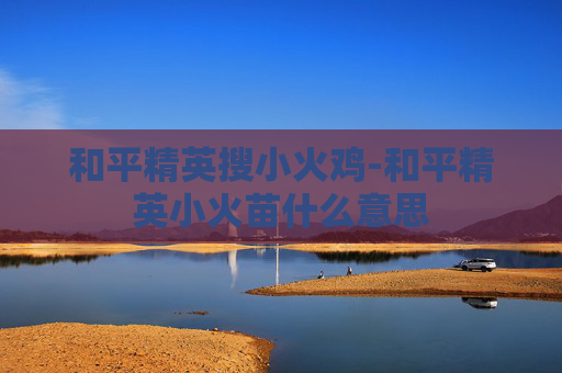 和平精英搜小火鸡-和平精英小火苗什么意思
