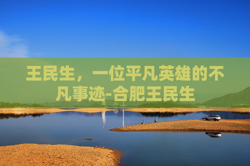 王民生，一位平凡英雄的不凡事迹-合肥王民生
