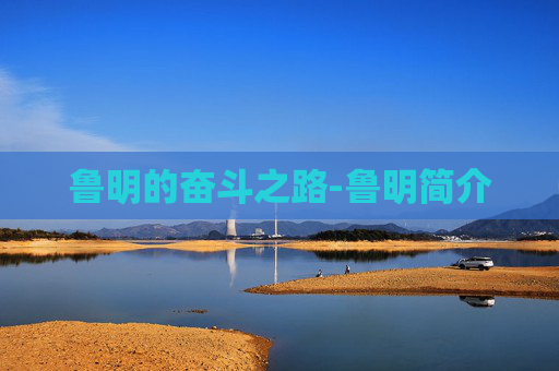 鲁明的奋斗之路-鲁明简介