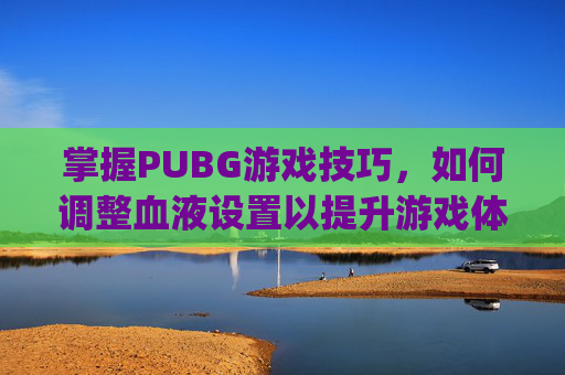 掌握PUBG游戏技巧，如何调整血液设置以提升游戏体验-pubg设置血液颜色