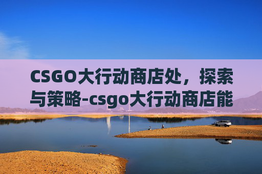 CSGO大行动商店处，探索与策略-csgo大行动商店能白嫖吗