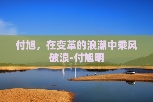 付旭，在变革的浪潮中乘风破浪-付旭明