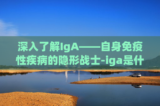 深入了解IgA——自身免疫性疾病的隐形战士-iga是什么病的简称