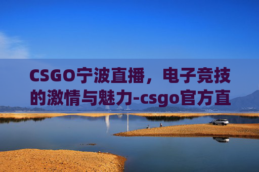CSGO宁波直播，电子竞技的激情与魅力-csgo官方直播间