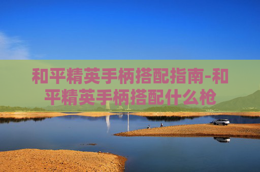 和平精英手柄搭配指南-和平精英手柄搭配什么枪