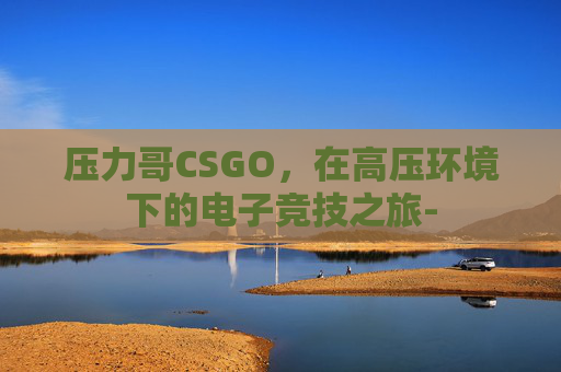 压力哥CSGO，在高压环境下的电子竞技之旅-