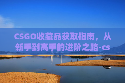 CSGO收藏品获取指南，从新手到高手的进阶之路-csgo收藏品怎么获得