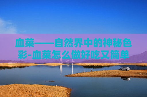 血菜——自然界中的神秘色彩-血菜怎么做好吃又简单