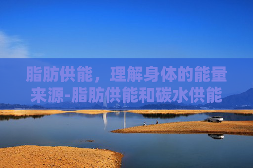 脂肪供能，理解身体的能量来源-脂肪供能和碳水供能的区别