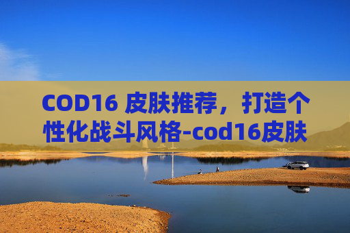 COD16 皮肤推荐，打造个性化战斗风格-cod16皮肤大全